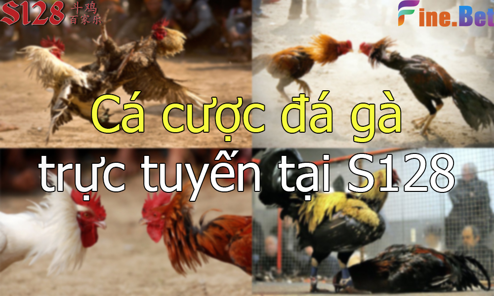 Sân chơi cược gà trực tuyến số 1 Việt Nam